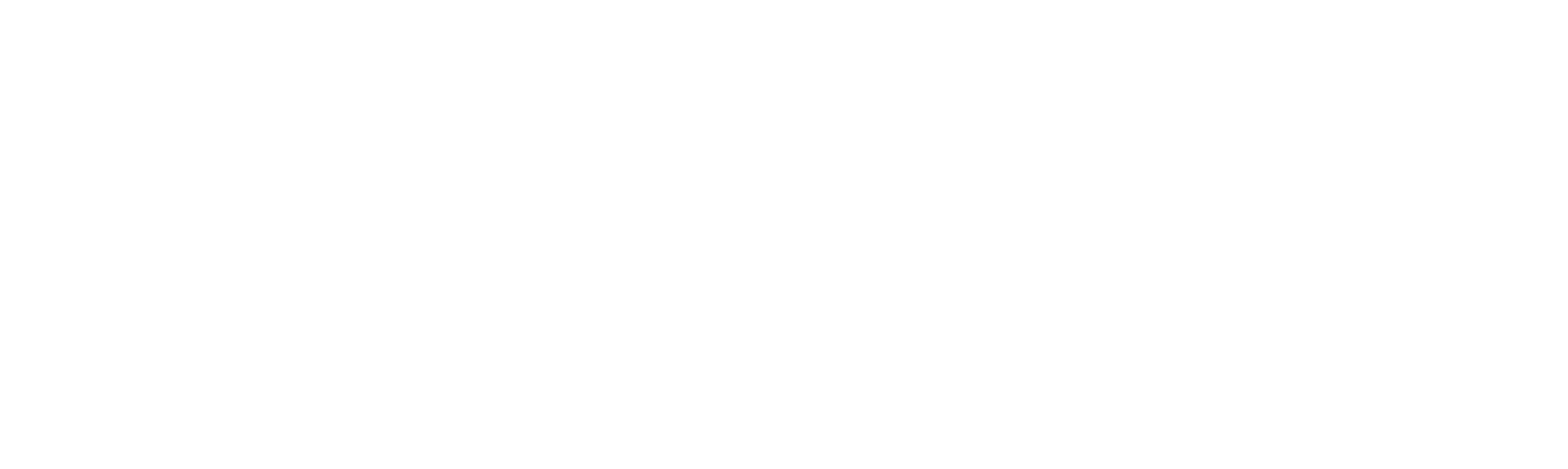 Quissly Logo